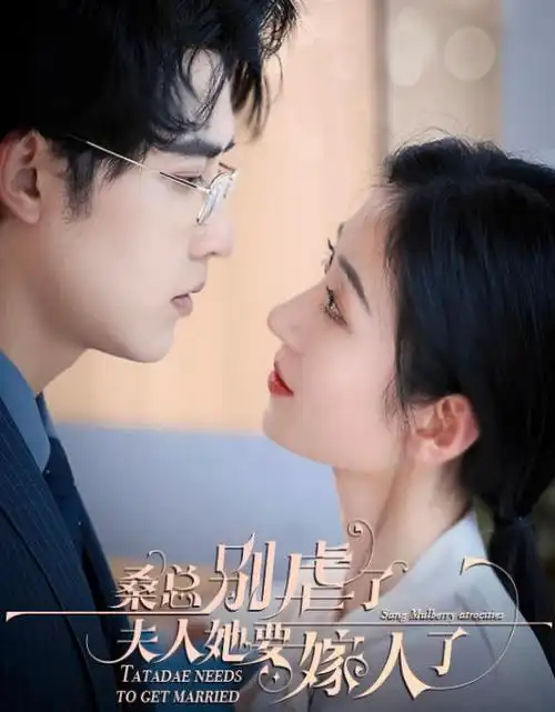市井烟火录都市生活剧全集免费在线观看